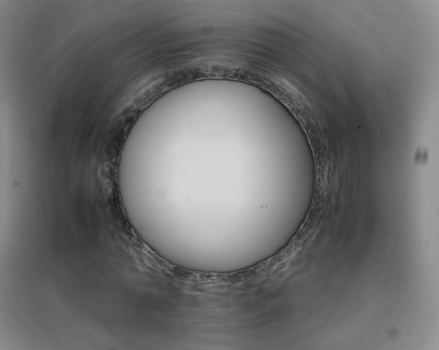 X0000096700774200802051410
