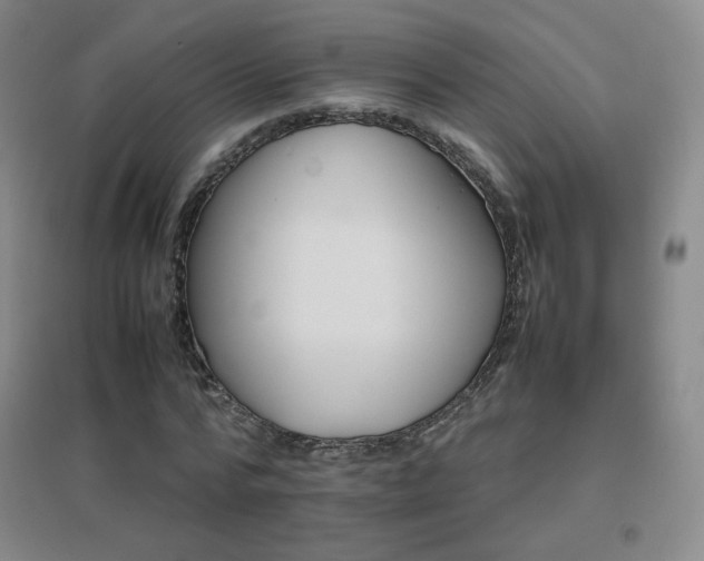 X0000096700776200802051410