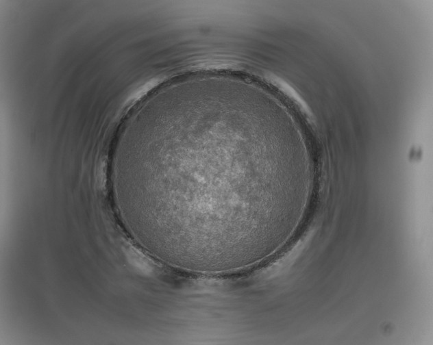 X0000096700777200802051410