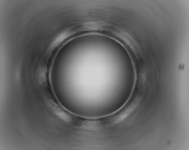 X0000096700778200802051410