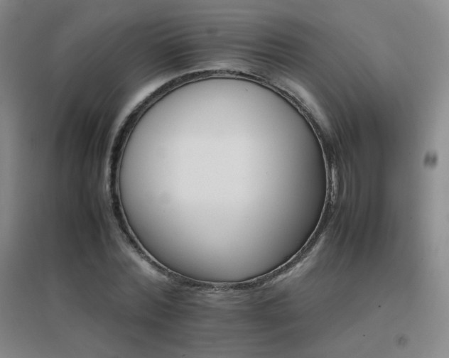 X0000096700780200802051410