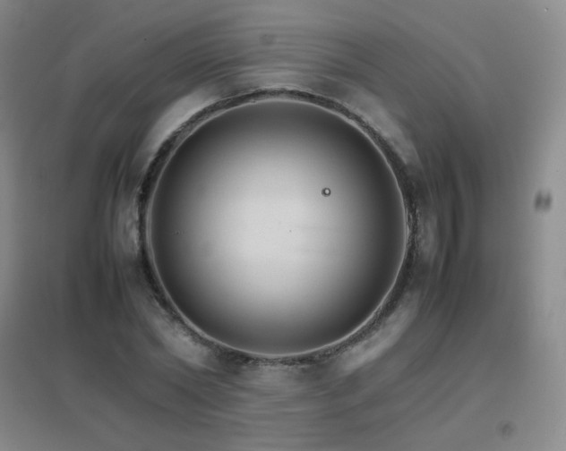 X0000096700782200802051410