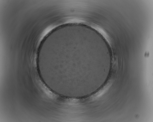 X0000096700783200802051410