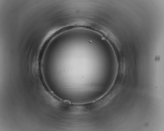 X0000096700784200802051410