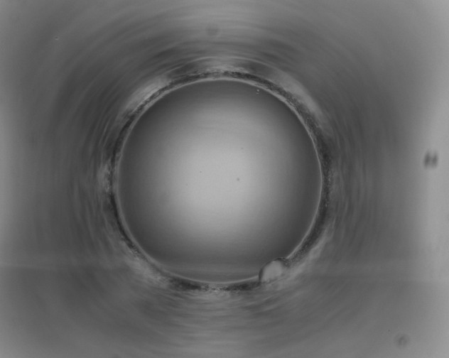 X0000096700785200802051410