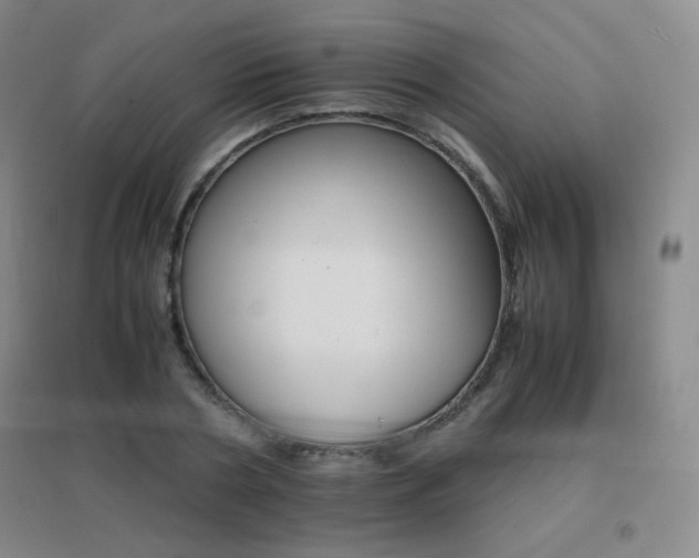 X0000096700786200802051410