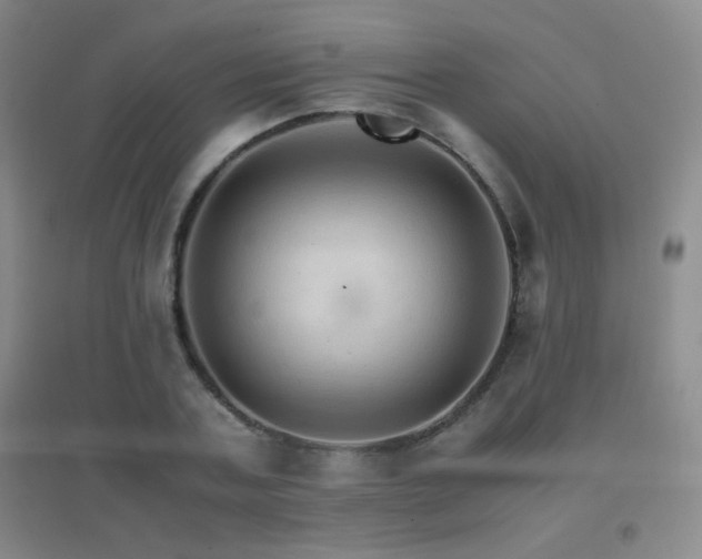 X0000096700787200802051410