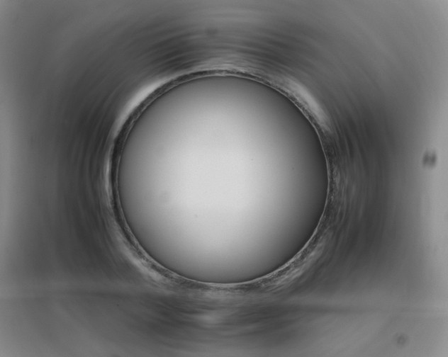 X0000096700788200802051410