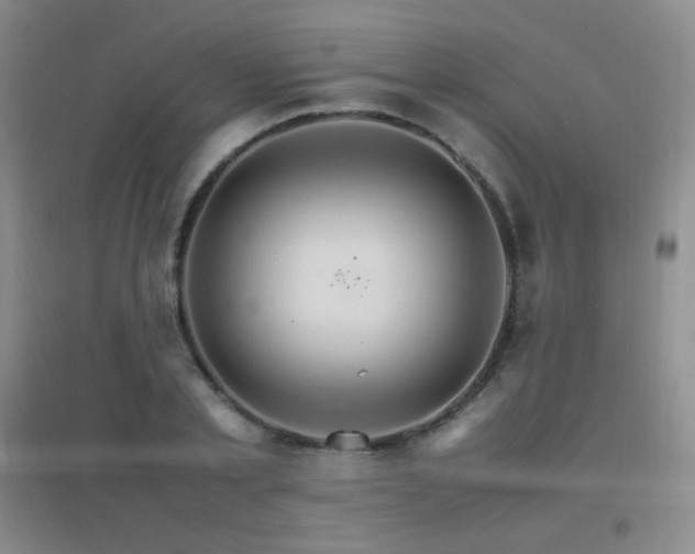 X0000096700789200802051410