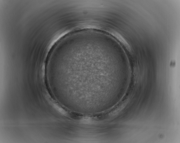 X0000096700790200802051410