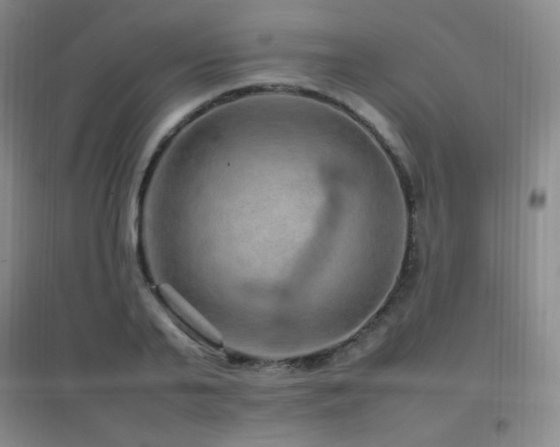 X0000096700791200802051410