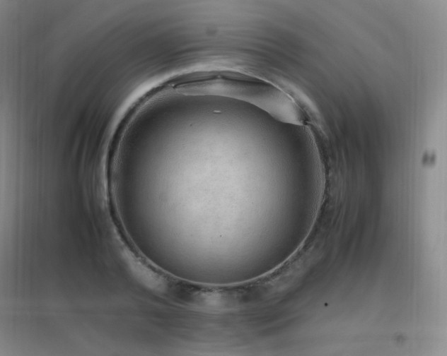 X0000096700792200802051410