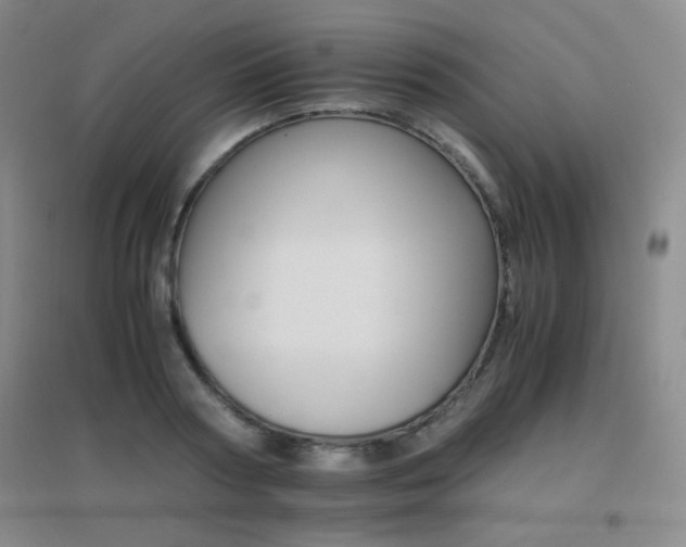 X0000096700794200802051410