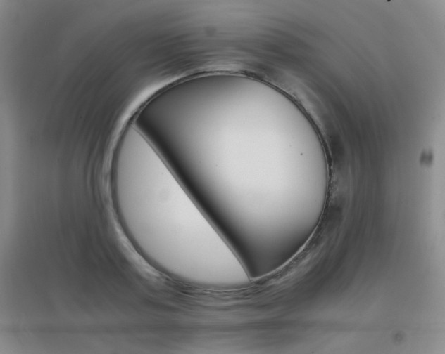 X0000096700795200802051410