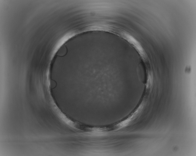 X0000096700796200802051410