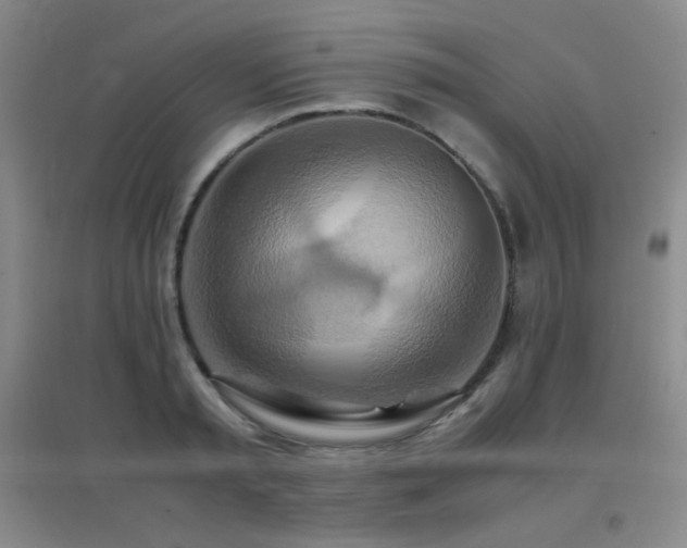 X0000096700797200802051409