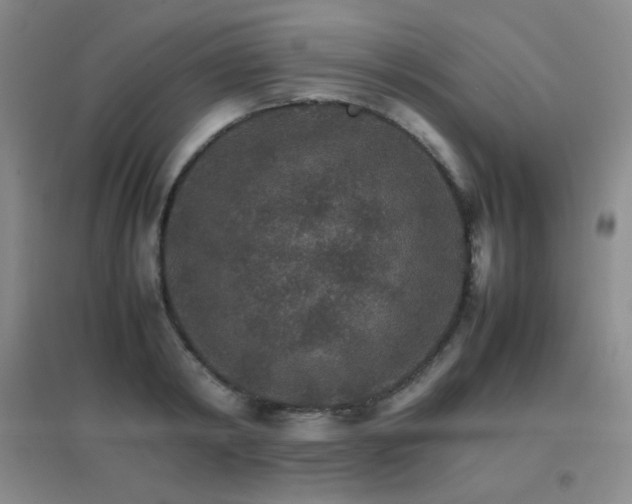 X0000096700798200802051409