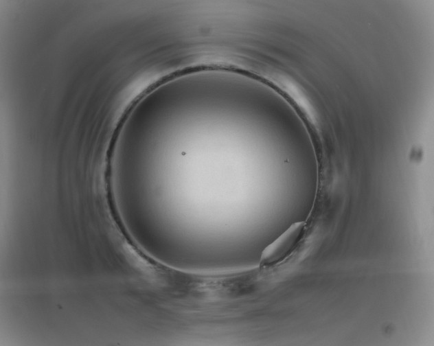 X0000096700799200802051409