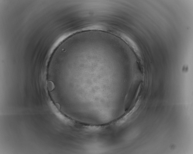 X0000096700800200802051409