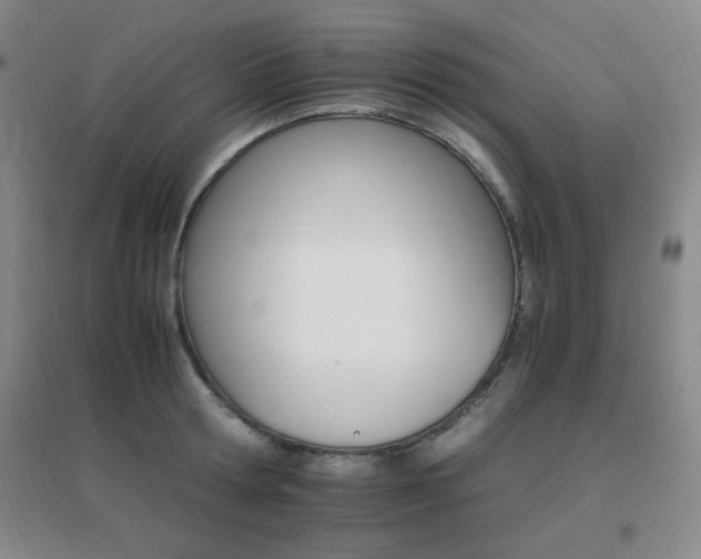 X0000096700802200802051409