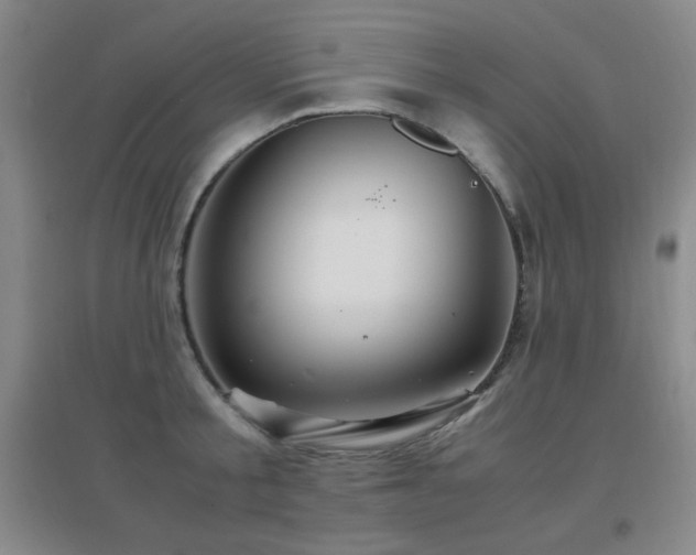 X0000096700805200802051409