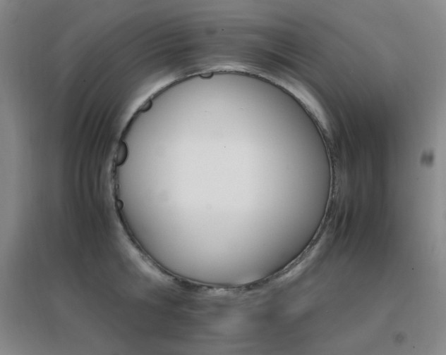 X0000096700806200802051409