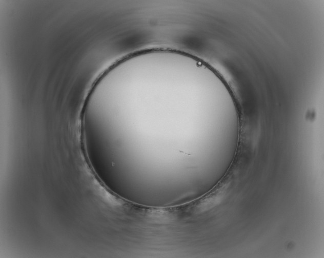 X0000096700807200802051409