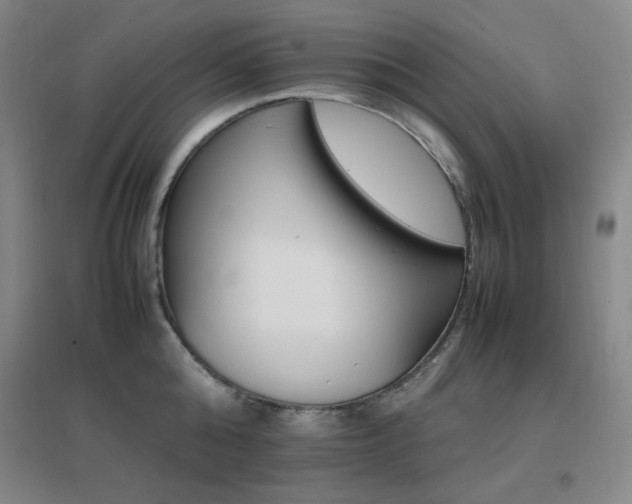 X0000096700808200802051409
