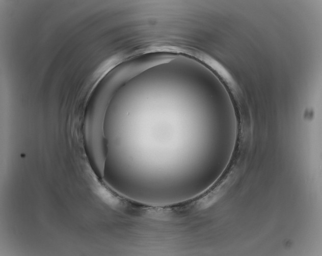 X0000096700809200802051409