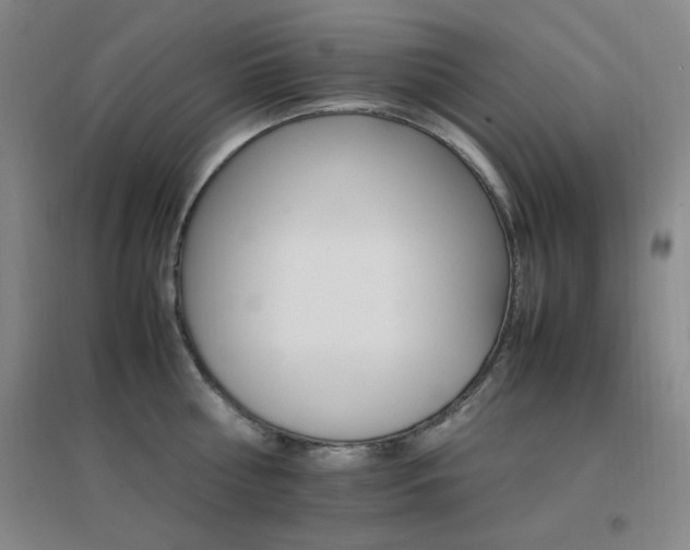 X0000096700810200802051409
