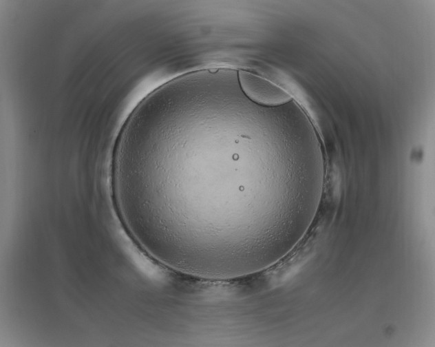X0000096700811200802051409
