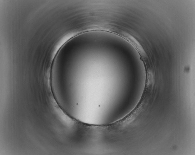 X0000096700812200802051409