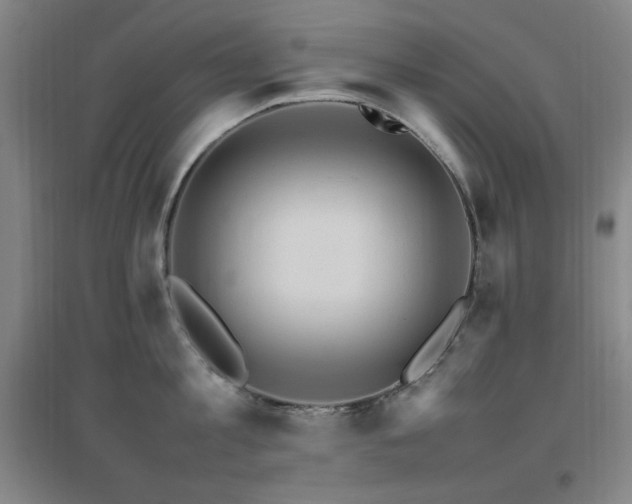 X0000096700813200802051409