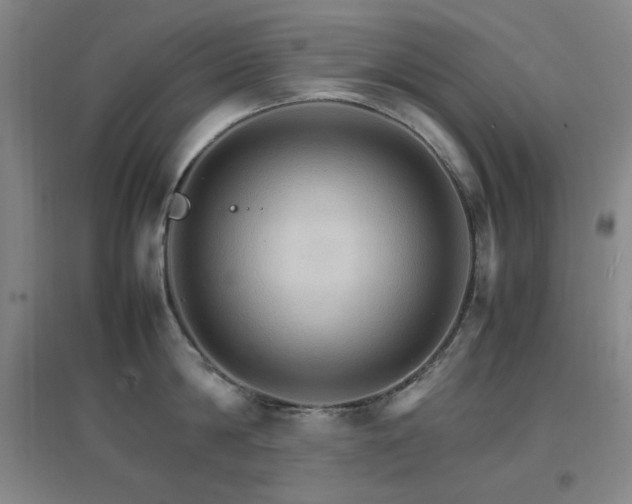 X0000096700814200802051409