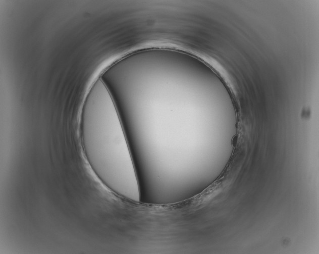 X0000096700815200802051409