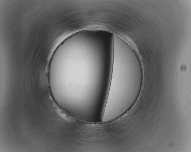 X0000096700816200802051409