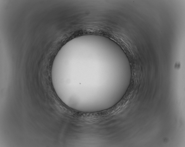X0000096700817200802051408