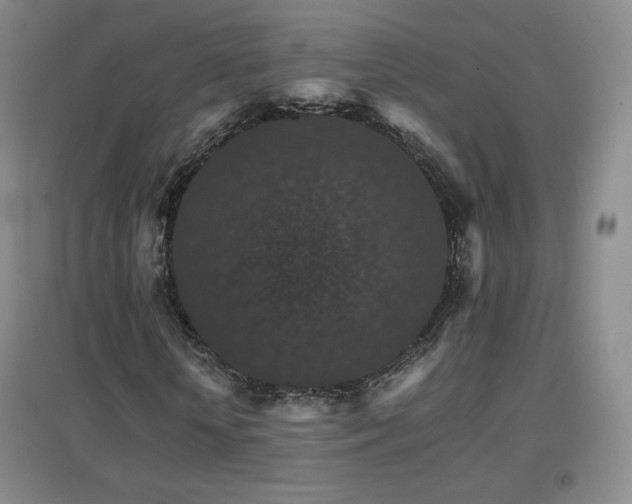 X0000096700818200802051408