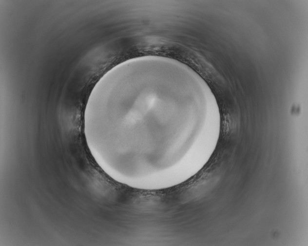 X0000096700820200802051408