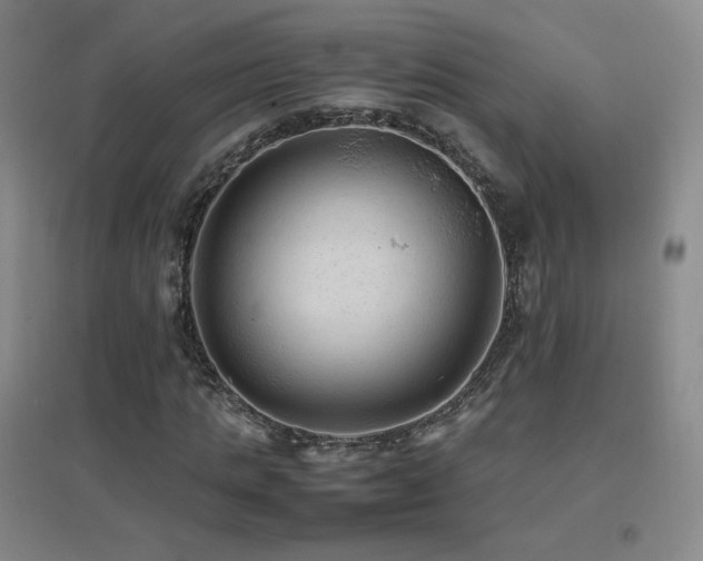X0000096700821200802051408