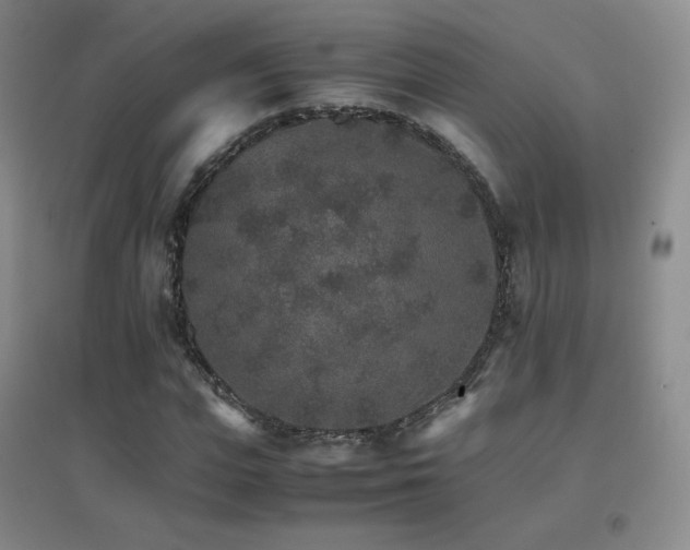 X0000096700823200802051408
