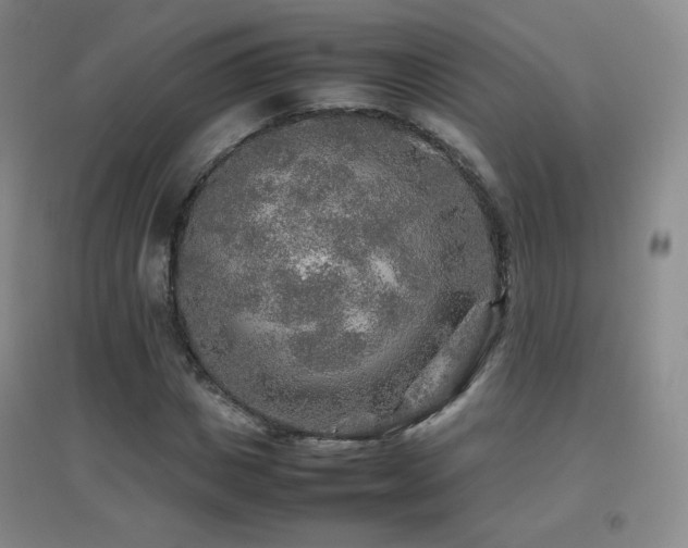 X0000096700825200802051408