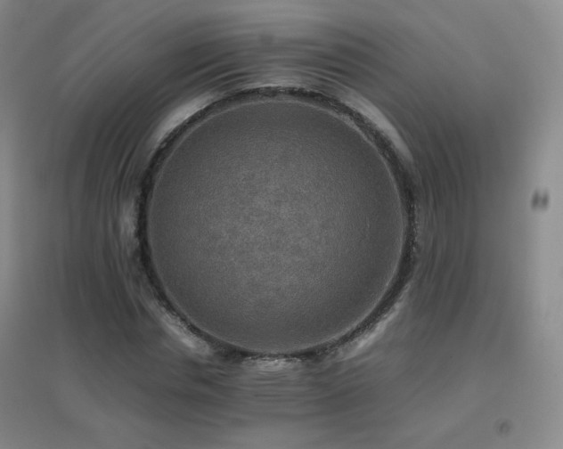 X0000096700826200802051409