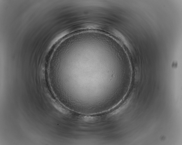 X0000096700827200802051409