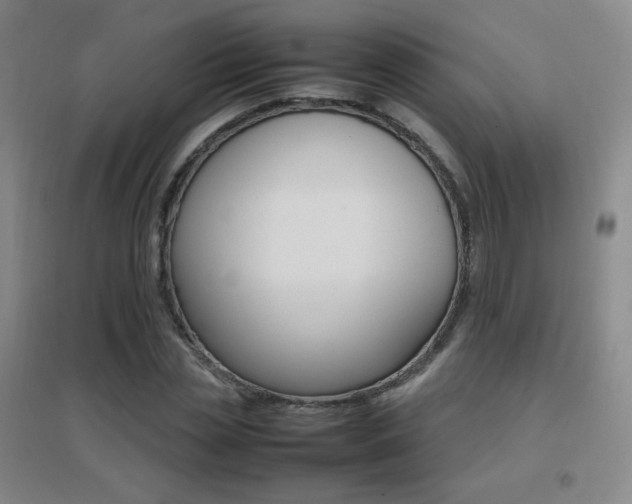 X0000096700829200802051409