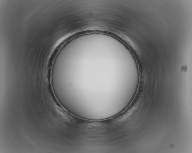 X0000096700830200802051409