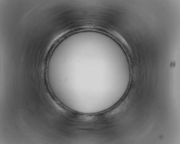 X0000096700831200802051409