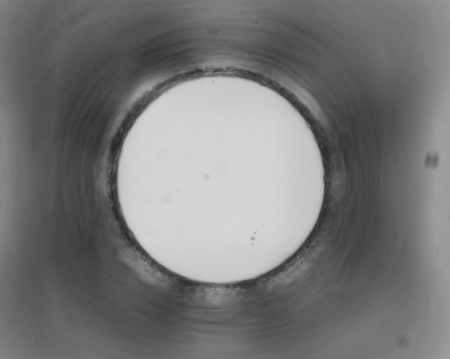 X0000096700832200802051409