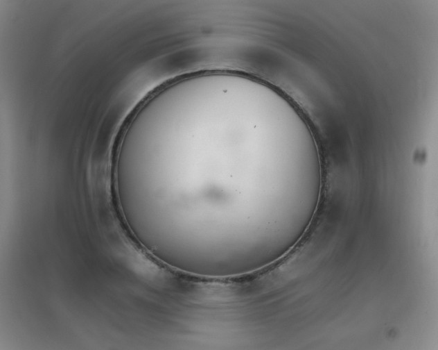 X0000096700836200802051409