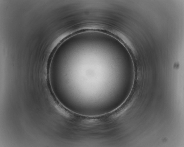 X0000096700837200802051409